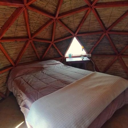 Casa Arbol Domos Vandrarhem Cafayate Exteriör bild